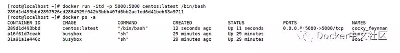 Docker存储和网络认识  第23张