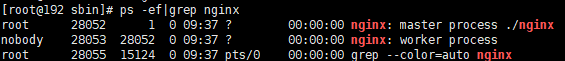 一文读懂 Nginx  第40张